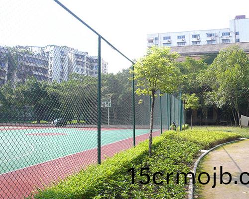 毬場(chang)圍(wei)欄網