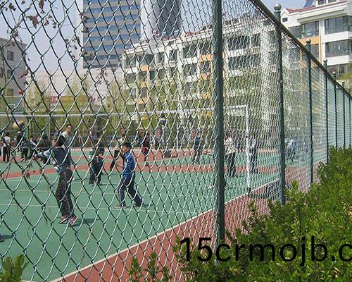 毬(qiu)場圍欄(lan)網(wang)