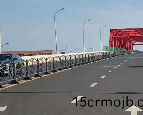 市政(zheng)護欄(lan)案例